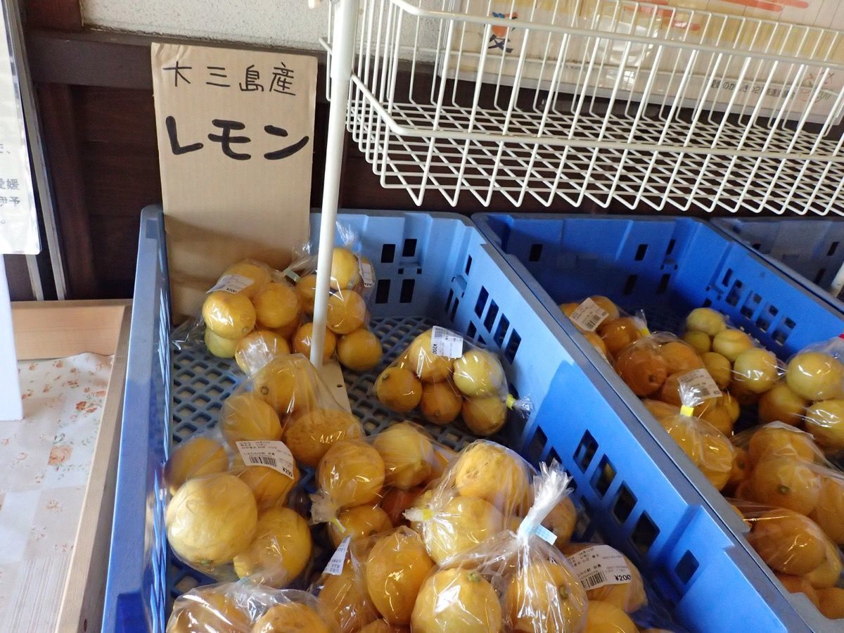 f:id:blues_harp:20181225013534j:plain