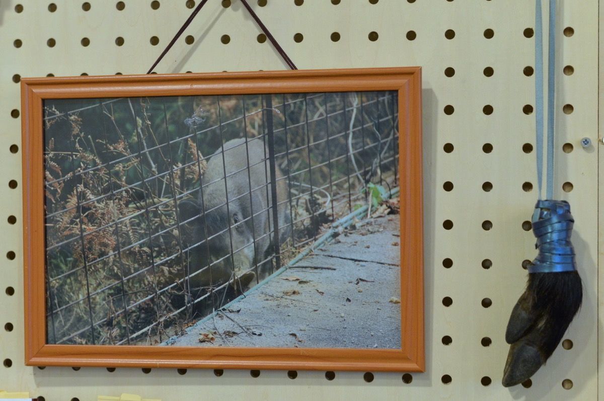 f:id:blues_harp:20181226213529j:plain