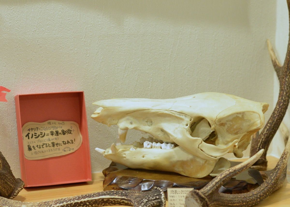 f:id:blues_harp:20181226214028j:plain