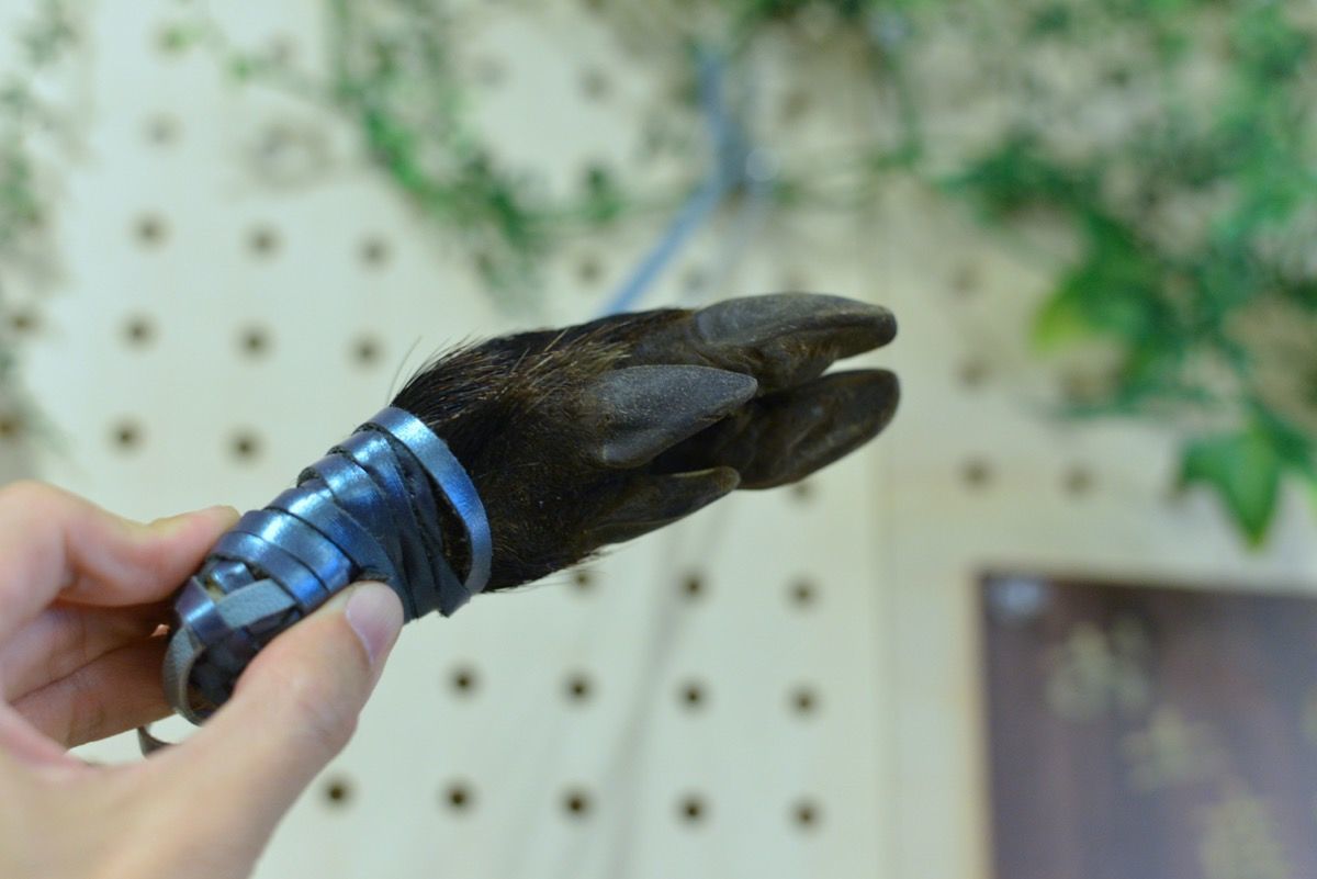 f:id:blues_harp:20181226214603j:plain