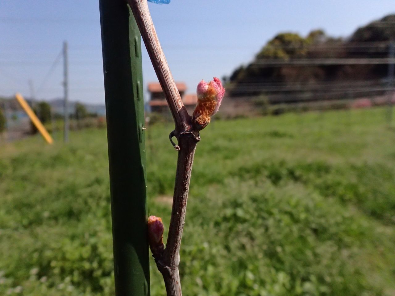 f:id:blues_harp:20190426004050j:plain f:id:blues_harp:20190426004050j:plain