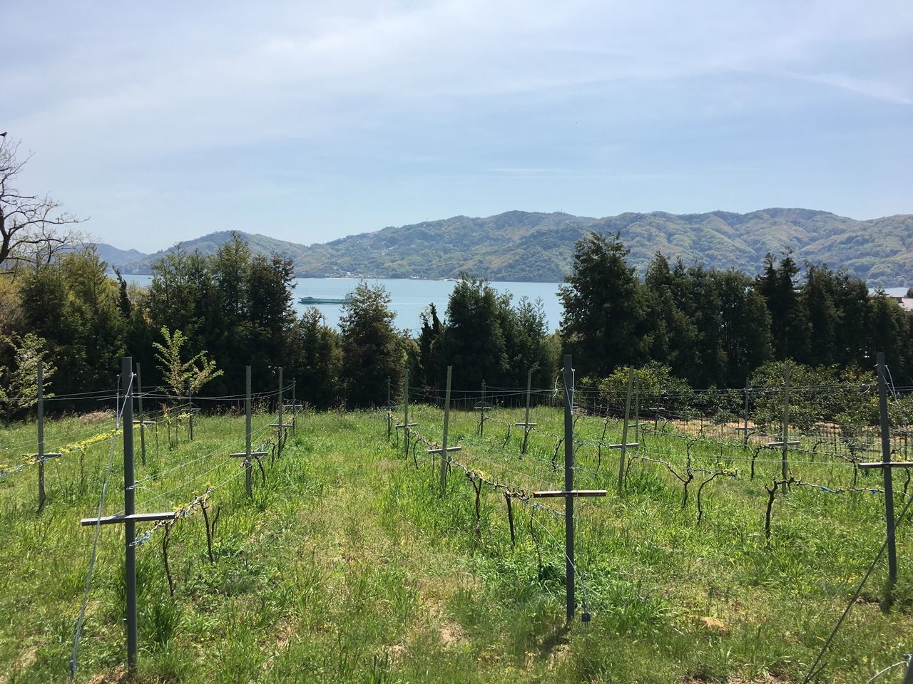 f:id:blues_harp:20190426004653j:plain f:id:blues_harp:20190426004653j:plain