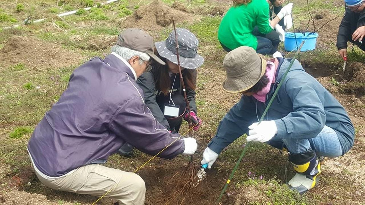 f:id:blues_harp:20190501162436j:plain f:id:blues_harp:20190501162436j:plain