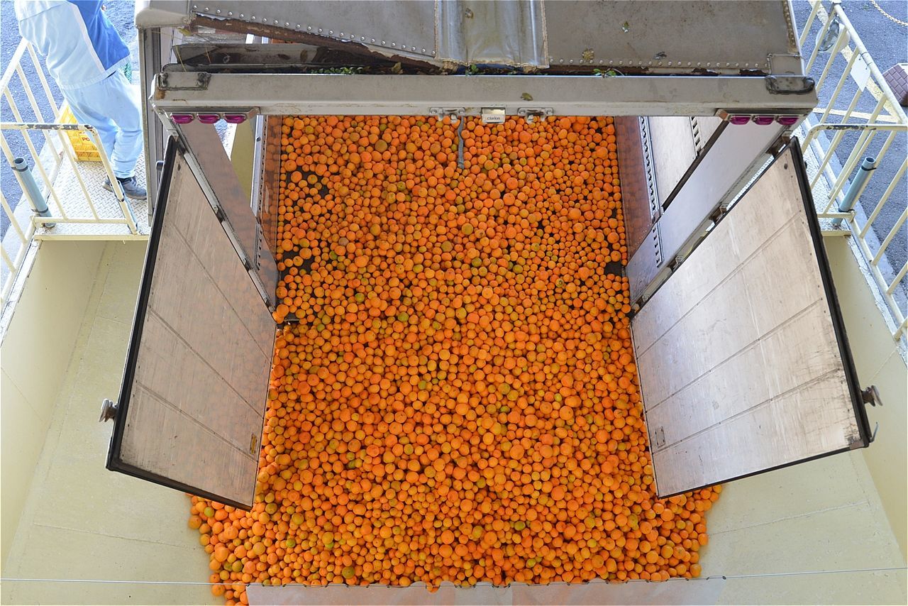 f:id:blues_harp:20191207020426j:plain f:id:blues_harp:20191207020426j:plain