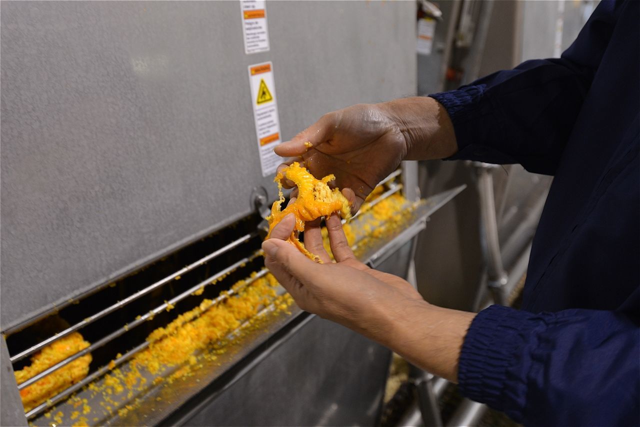 f:id:blues_harp:20191207020512j:plain f:id:blues_harp:20191207020512j:plain