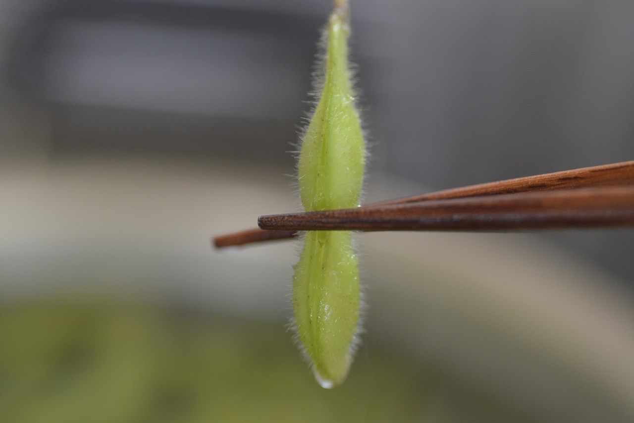 f:id:blues_harp:20210810230618j:plain