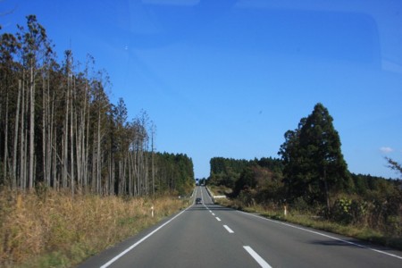 f:id:bluesapphire:20091026203201j:image:w300