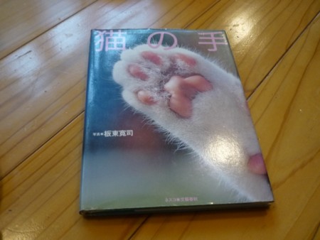 f:id:bluesapphire:20091105160534j:image:w200:right