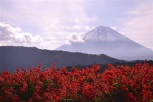 f:id:bluesdress:20121112113203j:image