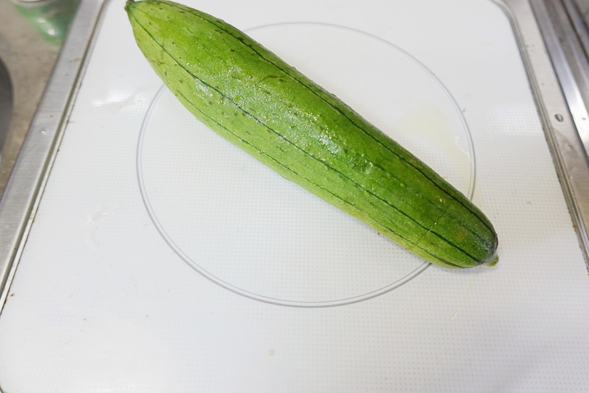 f:id:blueshark20:20190524002542j:plain