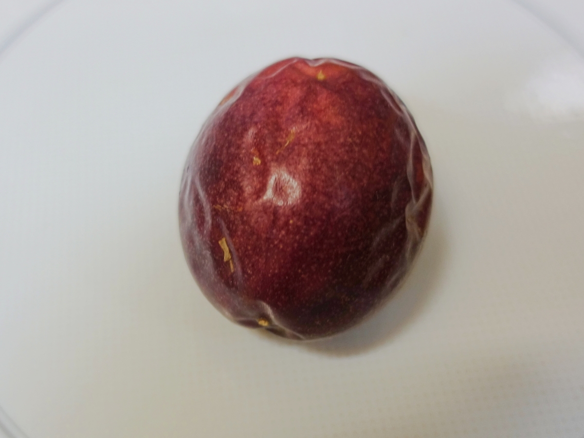 f:id:blueshark20:20190529001733j:plain f:id:blueshark20:20190529001733j:plain