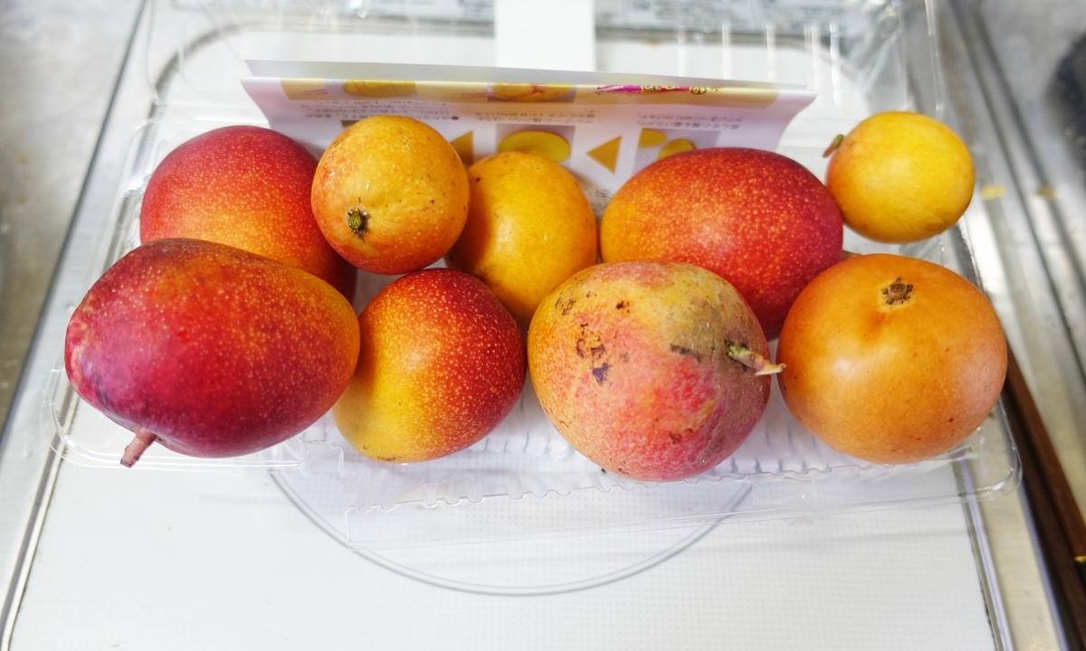 f:id:blueshark20:20190722190416j:plain f:id:blueshark20:20190722190416j:plain