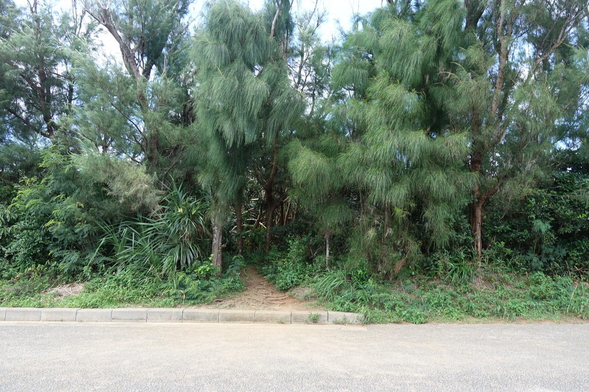 f:id:blueshark20:20190728185353j:plain f:id:blueshark20:20190728185353j:plain