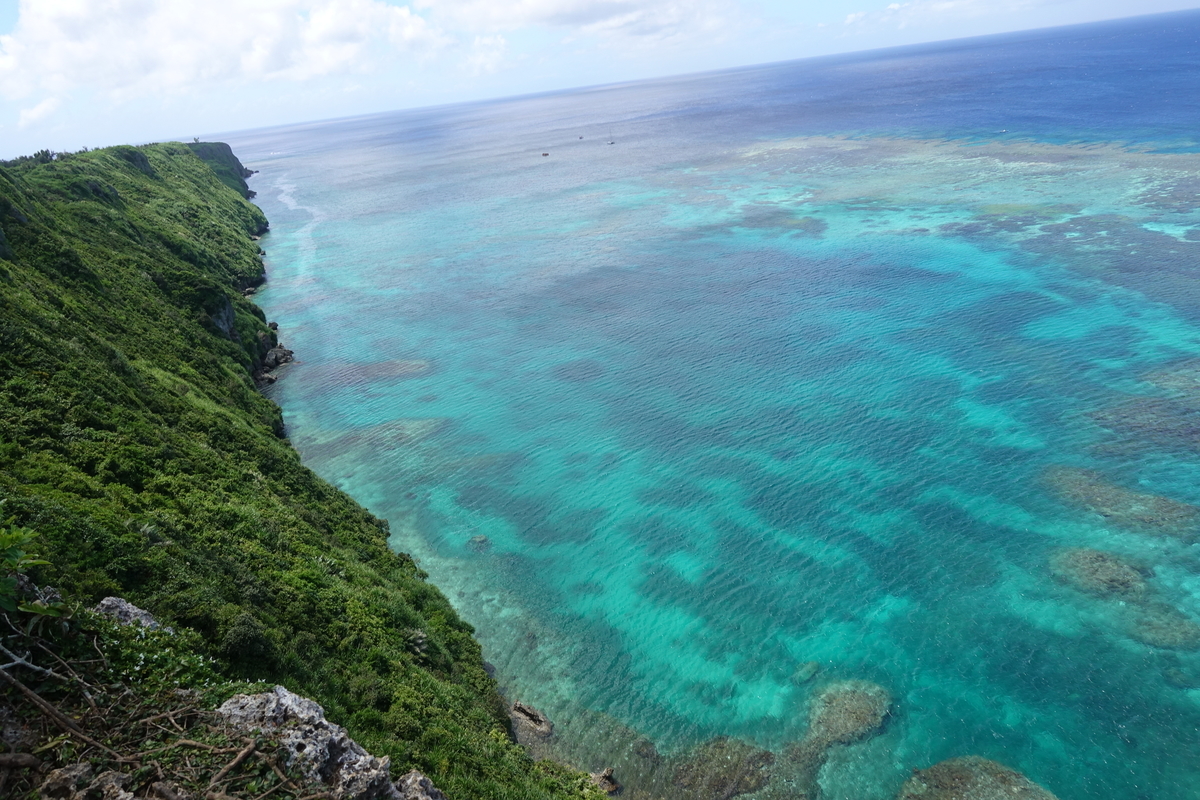 f:id:blueshark20:20190728185718j:plain f:id:blueshark20:20190728185718j:plain