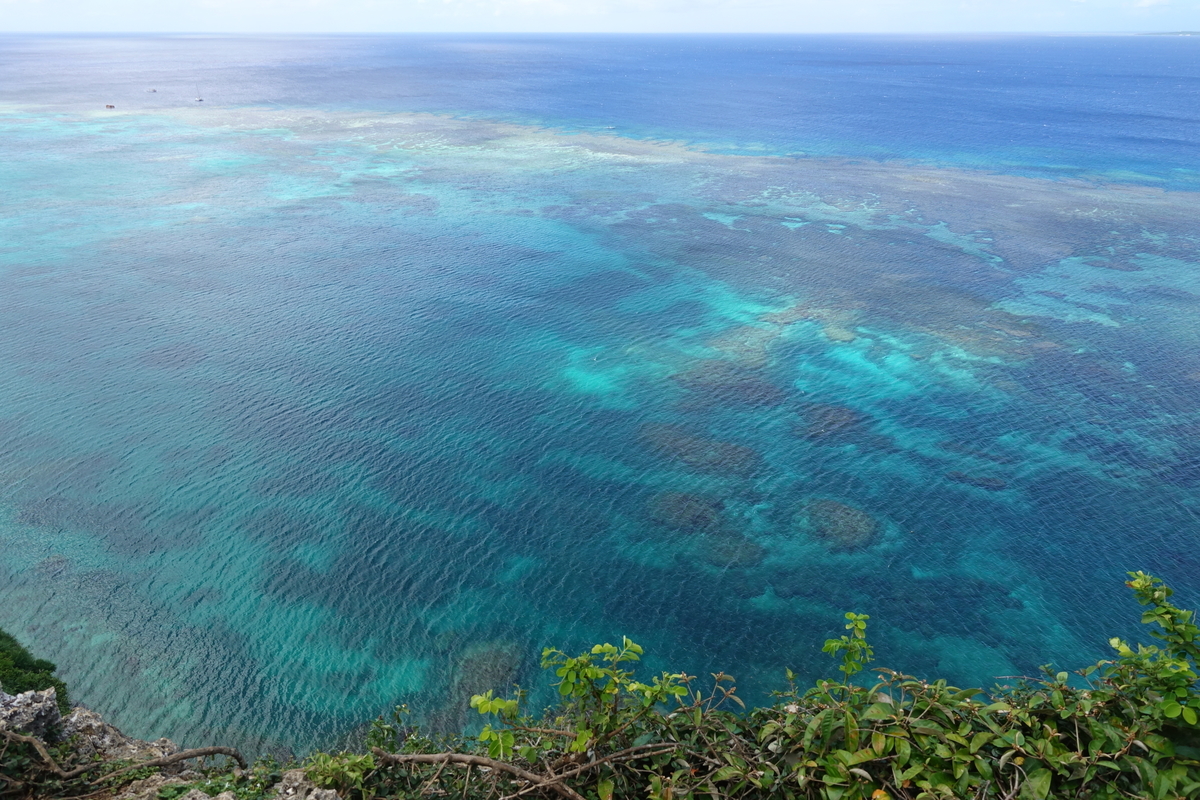 f:id:blueshark20:20190728185910j:plain f:id:blueshark20:20190728185910j:plain