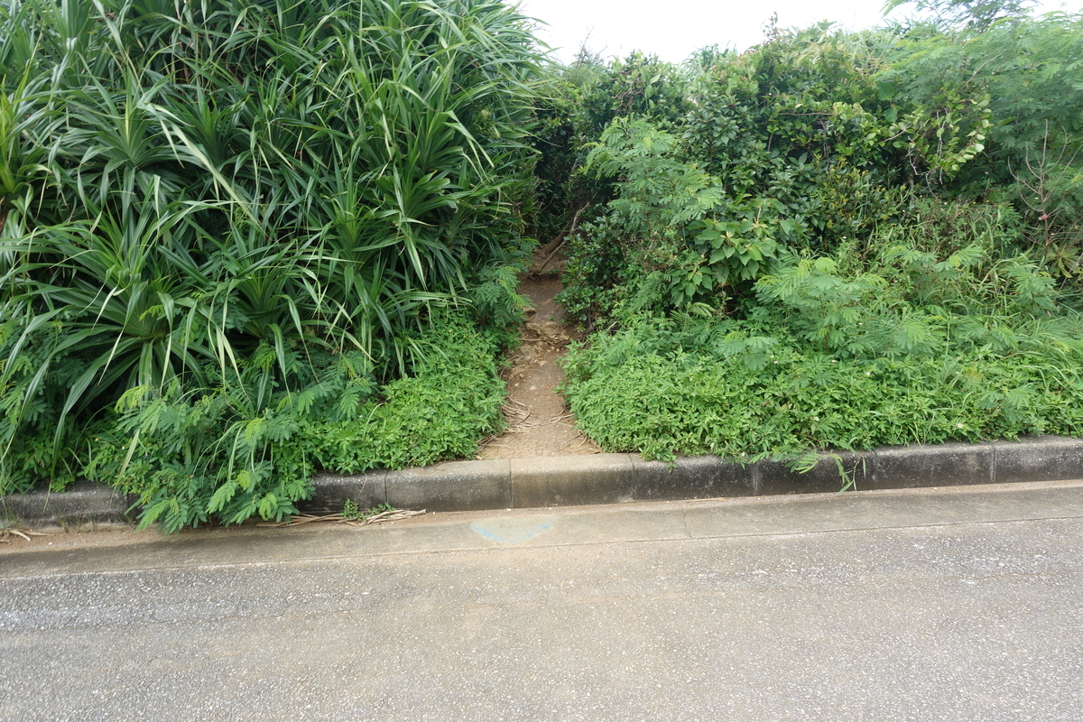 f:id:blueshark20:20190728191518j:plain f:id:blueshark20:20190728191518j:plain