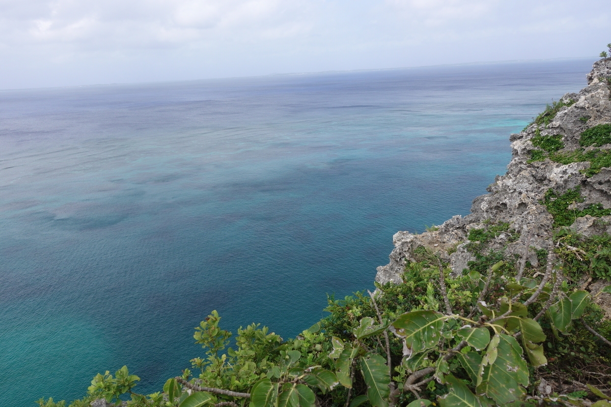 f:id:blueshark20:20190728192154j:plain f:id:blueshark20:20190728192154j:plain