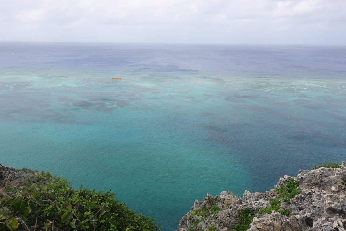 f:id:blueshark20:20190728192504j:plain f:id:blueshark20:20190728192504j:plain
