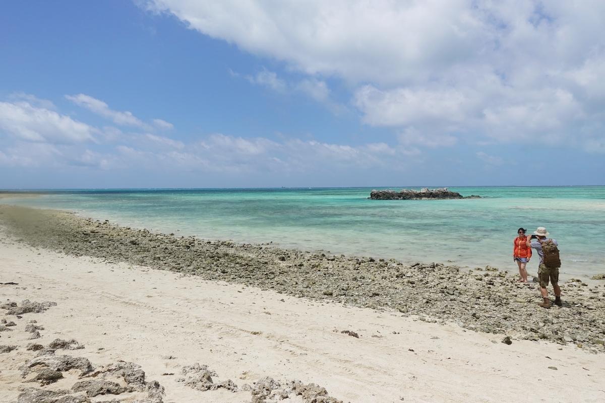 f:id:blueshark20:20190814193401j:plain f:id:blueshark20:20190814193401j:plain