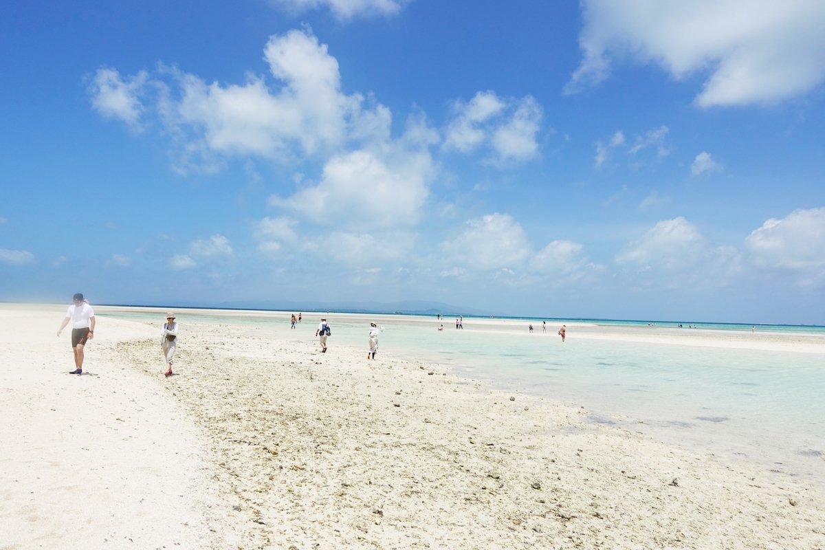 f:id:blueshark20:20190814211657j:plain f:id:blueshark20:20190814211657j:plain