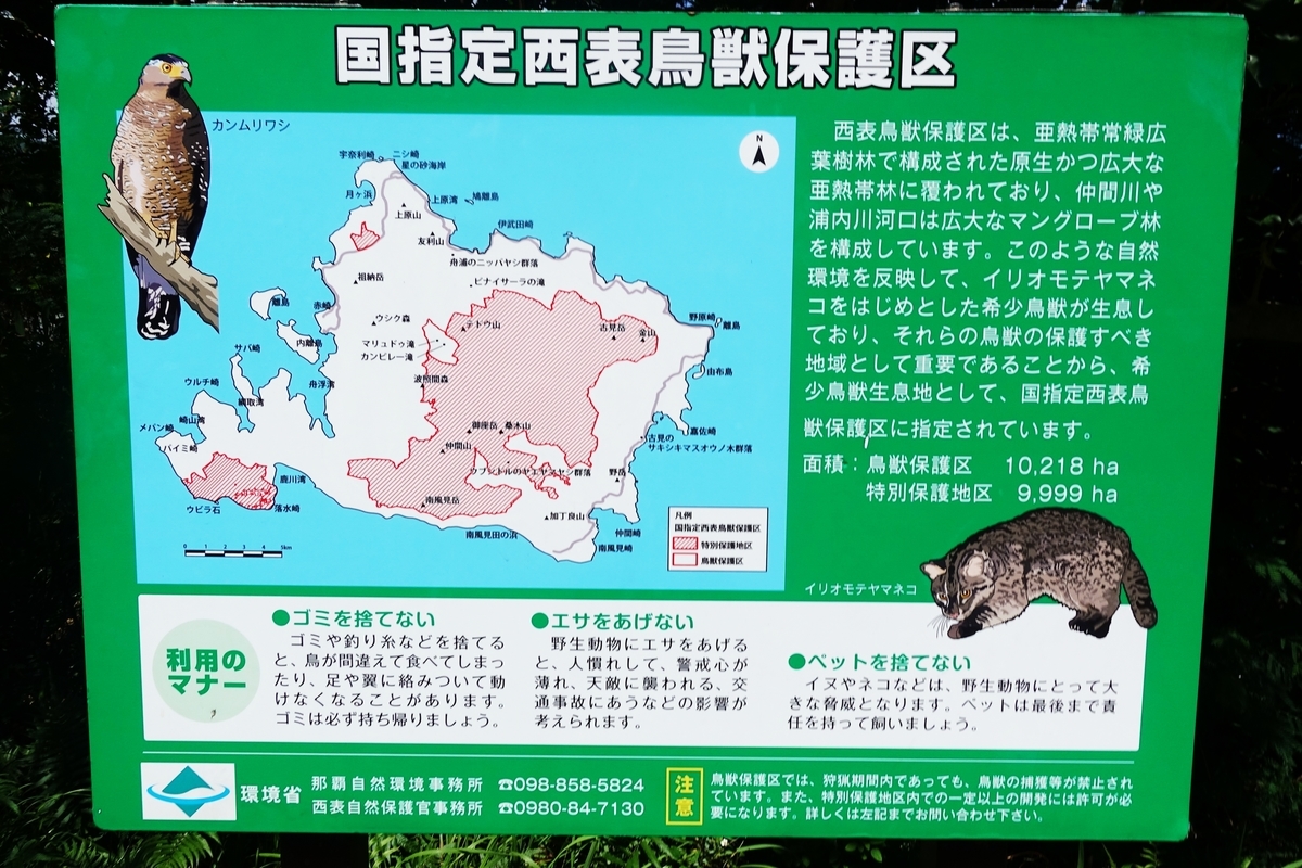 f:id:blueshark20:20190821154631j:plain f:id:blueshark20:20190821154631j:plain