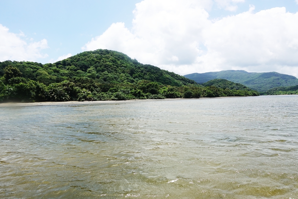f:id:blueshark20:20190821161254j:plain f:id:blueshark20:20190821161254j:plain