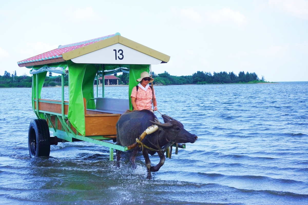 f:id:blueshark20:20190821180841j:plain f:id:blueshark20:20190821180841j:plain