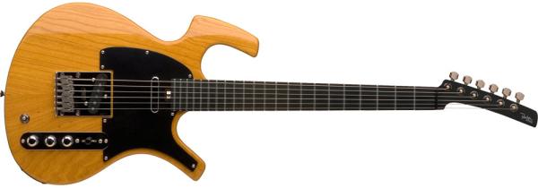 いつの間にこんなギターが．．．Parker Southern