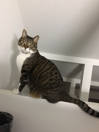 f:id:bluesky-18-tt:20190209234725j:plain