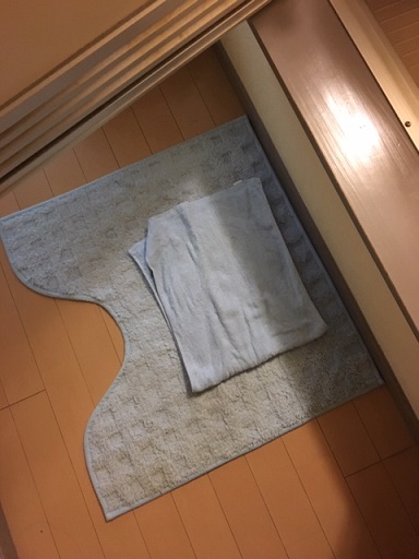 f:id:bluesky-18-tt:20190312032802j:plain