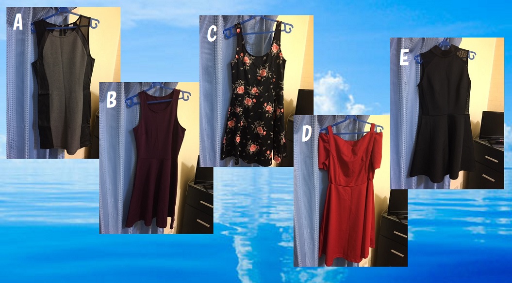 f:id:bluesky-18-tt:20190318002139j:plain