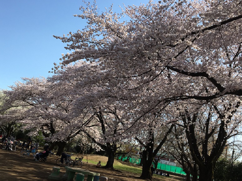 f:id:bluesky-18-tt:20190326042055j:plain f:id:bluesky-18-tt:20190326042055j:plain