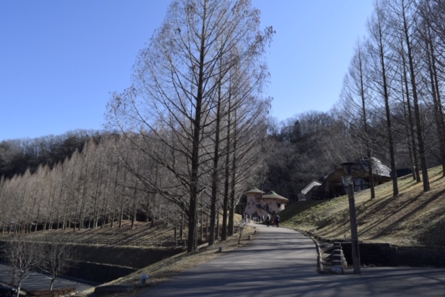 f:id:bluesky-18-tt:20190404221310j:plain