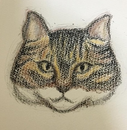 f:id:bluesky-18-tt:20190415021904j:plain