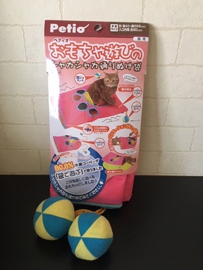 f:id:bluesky-18-tt:20190517184651j:plain