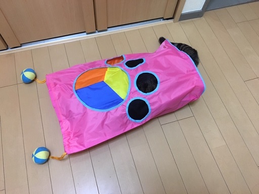 f:id:bluesky-18-tt:20190517184834j:plain