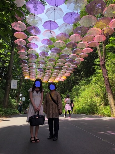 f:id:bluesky-18-tt:20190528224643j:plain