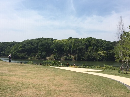 f:id:bluesky-18-tt:20190528225204j:plain