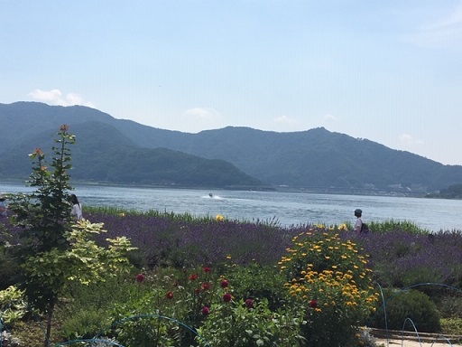 f:id:bluesky-18-tt:20190612214332j:plain