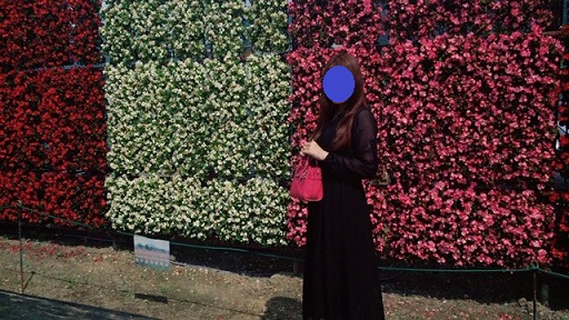 f:id:bluesky-18-tt:20190612215743j:plain