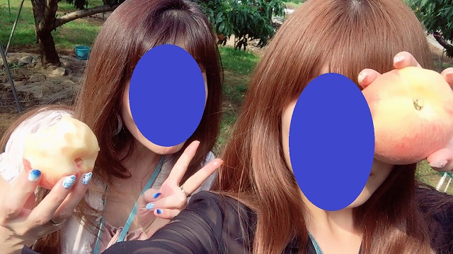 f:id:bluesky-18-tt:20190612221733j:plain