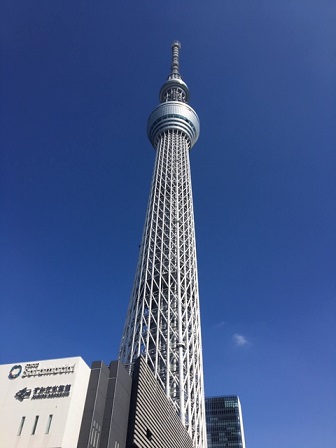 f:id:bluesky-18-tt:20190626100529j:plain