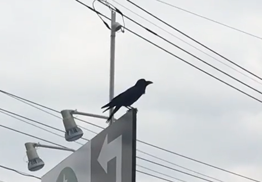 f:id:bluesky-18-tt:20190706215919p:plain
