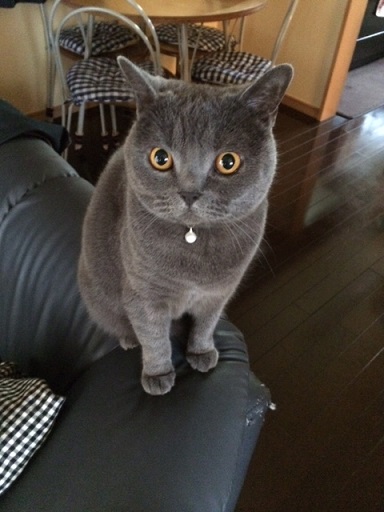 f:id:bluesky-18-tt:20190722170819j:plain