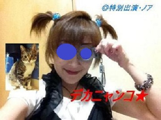 f:id:bluesky-18-tt:20190730155633j:plain