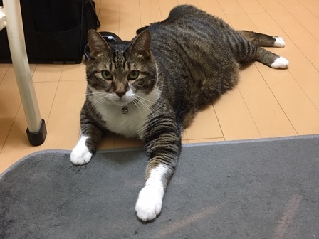 f:id:bluesky-18-tt:20190802121911j:plain