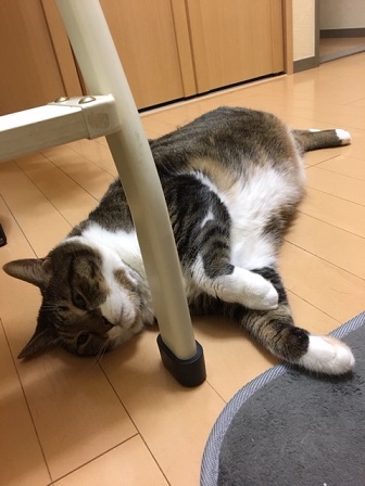 f:id:bluesky-18-tt:20190802124901j:plain