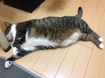 f:id:bluesky-18-tt:20190802124923j:plain
