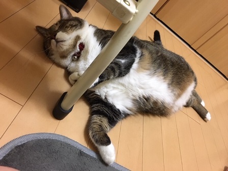 f:id:bluesky-18-tt:20190802124938j:plain