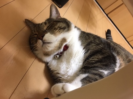 f:id:bluesky-18-tt:20190802124955j:plain